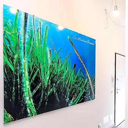 לינה וארוחת בוקר La Posidonia Oceanica אלגהרו