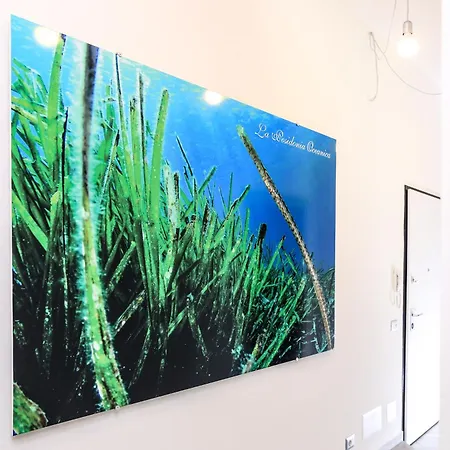 La Posidonia Oceanica فندق مبيت وإفطار 2*